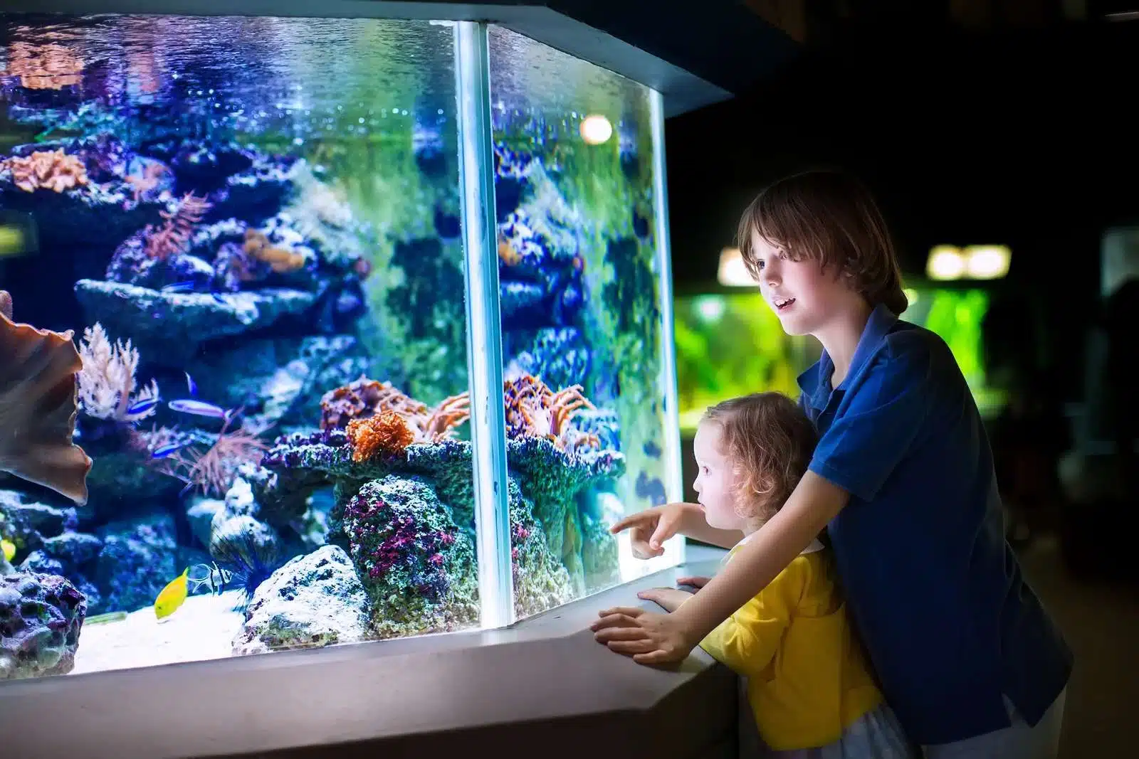 Découvrir les merveilles marines à l’aquarium de Strasbourg une sortie en famille inoubliable