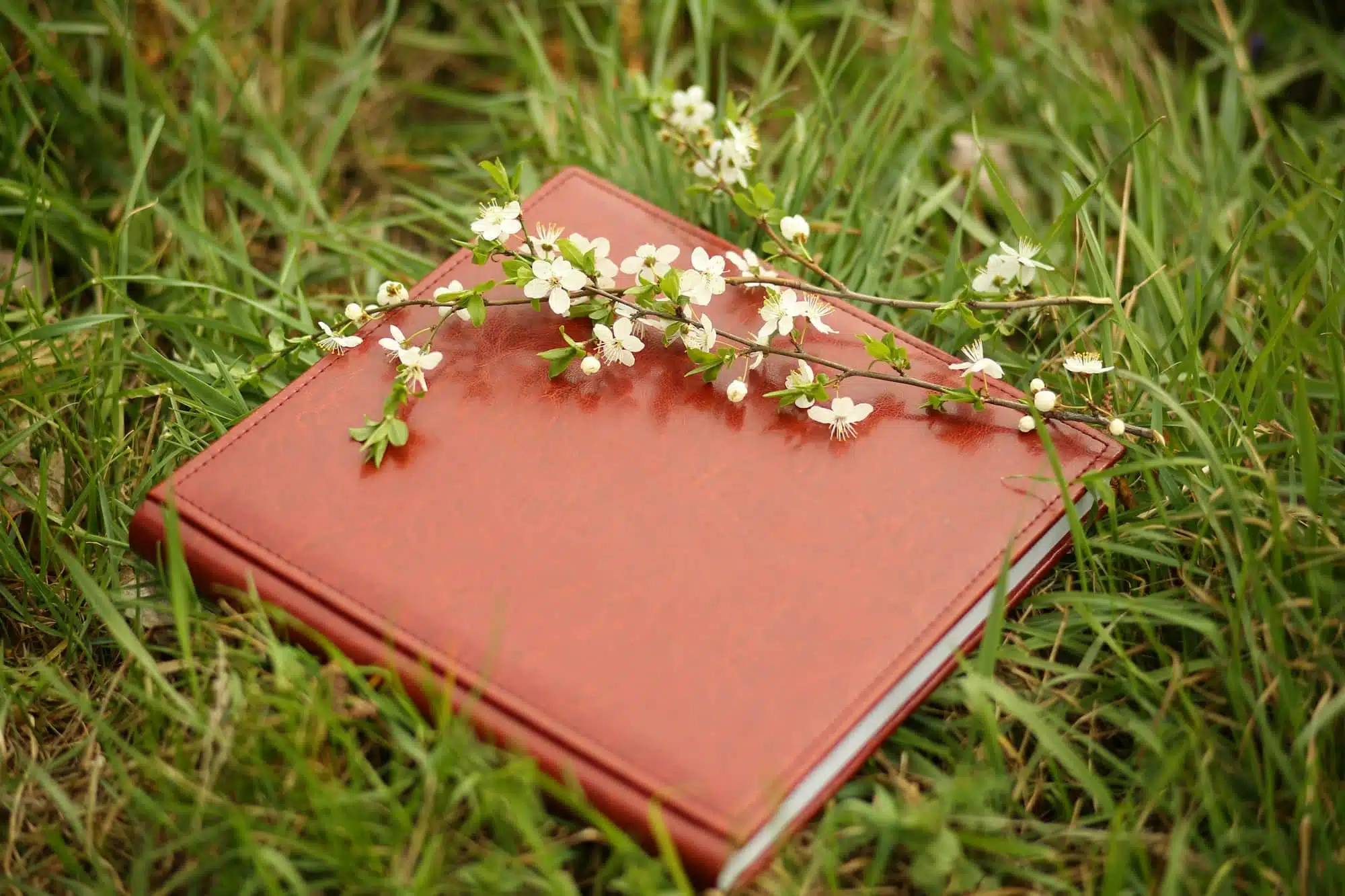 Livres photo carré : options de couverture pour créer des souvenirs inoubliables